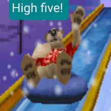 a teddy bear is sliding down a water slide with the words high five behind it