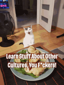 a cat sitting on a table next to a plate of food with the words learn stuff about other cultures you f * ckers