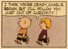 a cartoon of charlie brown and snoopy saying i think you 're crazy charlie brown