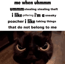 Pilfering Stealing Cat Meme