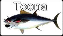 a cartoon fish with red eyes and the name toona