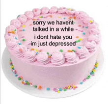 a cake with pink frosting and sprinkles that says sorry we haven t talked in a while