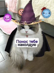 a cat is wearing a witch hat and cape and has a sticker that says ponoc tebe nakoldyuo