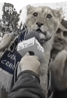 a man is holding a microphone in front of a lion cub who is wearing a shirt that says usa craig on it