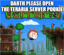 darth please open the terraria server pookle