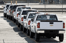 a row of chevrolet trucks are parked in a lot