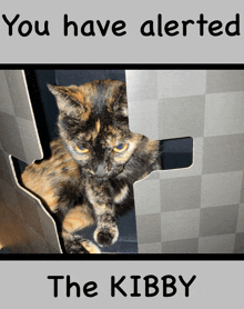 a cat peeking out of a cardboard box with the words " you have alerted the kibby " below it