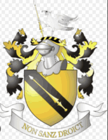 a coat of arms with the words non sanz droict on the bottom