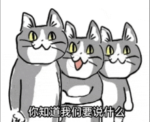 three cartoon cats standing next to each other with chinese writing on the bottom