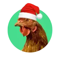 a chicken wearing a santa hat on a green circle