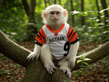 a monkey is wearing a jersey that says nathan on it