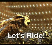 a picture of a bee with the words let 's ride