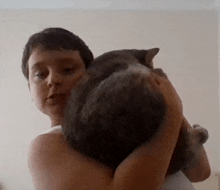 a person is holding a cat in their arms and the cat is looking at the camera .