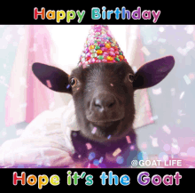 a birthday card with a goat wearing a party hat and the caption happy birthday hope it 's the goat