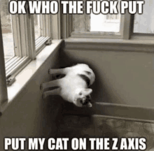 a cat is laying on its back in a window sill with a caption that says ok who the fuck put put my cat on the z axis