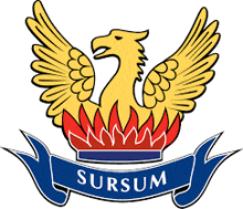 a logo for sursum with a dragon and flame