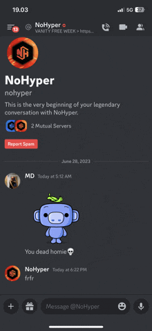 a screenshot of a discord conversation between two people named no hyper