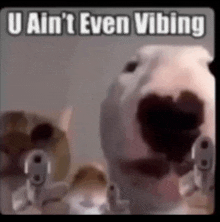 a dog is holding two guns in its mouth and says `` u ain t even vibing '' .