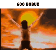 a man with his arms outstretched is standing in front of a sunset with the words 600 bobux above him