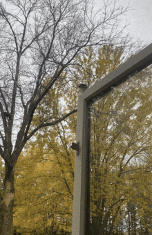 a tree with yellow leaves is behind a screen door