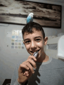 a boy with a bird on his head eating a bar