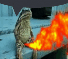 a frog is sitting on a ledge with a fire coming out of its mouth