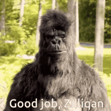 a gorilla with the words good job zilliqan written on it