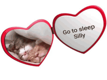 a heart shaped mirror with the words go to sleep silly