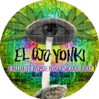 a frog sits on a mushroom with the words el ojo yonki written on the bottom