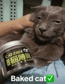 a person is holding a gray cat next to a can of cat zaza