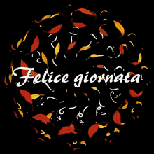 a black background with red and yellow leaves and the words felice giornata