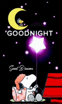 snoopy is sitting under a crescent moon and holding a star .