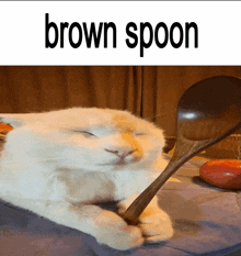 a white cat with its eyes closed is holding a wooden spoon