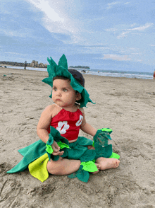 a baby dressed in a lilo costume sits on the beach