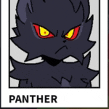 a picture of a black cat with yellow eyes and the name panther