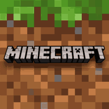 a picture of a minecraft game with a green grass background