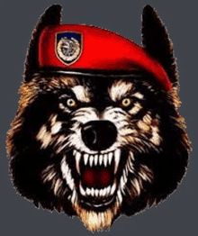 a drawing of a wolf wearing a red beret with a badge on it