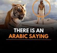 a man standing next to a tiger with the words " there is an arabic saying " below it