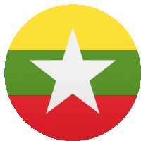 a circle with a green yellow and red flag with a white star in the center