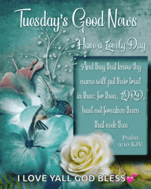 a poster that says tuesday 's good news have a lovely day on it