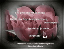 a picture of pink roses with the words een prachtig mooi mens on top