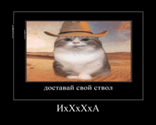 a picture of a cat wearing a cowboy hat with the words ixxxxa below it