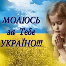 a little girl is praying in front of a field of wheat with a blue sky in the background .