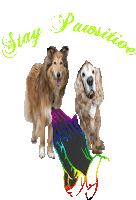 two dogs are standing next to each other with the words stay pawsitive above them