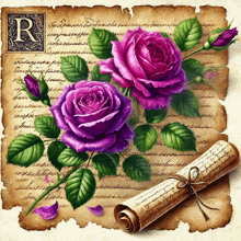 purple roses on a piece of paper with the letter r