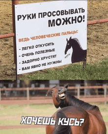 a horse is standing next to a sign that says руки просовывать можно