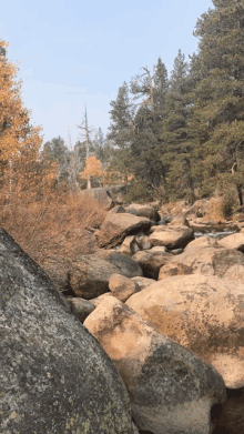 a river runs through a rocky area in the woods