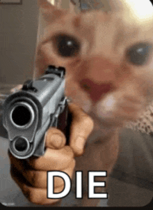 a cat is pointing a gun at the camera with the words `` die '' behind it .