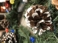 a pine cone that has been painted white is hanging on a christmas tree