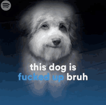 a black and white photo of a dog with the words " this dog is fucked up bruh "